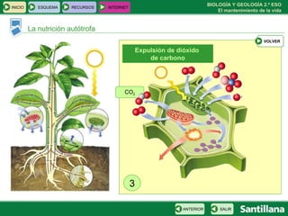 CO 2 La nutrición autótrofa 3 Expulsión de dióxido  de carbono INICIO ESQUEMA RECURSOS INTERNET SALIR ANTERIOR VOLVER 