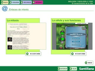 Enlaces de interés INICIO ESQUEMA RECURSOS INTERNET INICIO SALIR ANTERIOR La mitosis IR A ESTA WEB La célula y sus funciones IR A ESTA WEB 