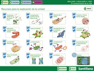 Recursos para la explicación de la unidad INICIO ESQUEMA RECURSOS INTERNET INICIO SALIR ANTERIOR Funciones  vitales de  los seres  vivos Composición química de los seres vivos Historia de la célula Tipos de células Estructura  y composición celular Características de la nutrición celular La nutrición autótrofa La nutrición heterótrofa Características de la reproducción celular Tipos de división celular Material genético y cromosomas La mitosis Tamaño y  forma de las células La respiración celular La fotosíntesis Enlaces 