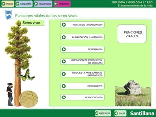 Seres vivos Funciones vitales de los seres vivos FUNCIONES VITALES REPRODUCCIÓN INICIO ESQUEMA RECURSOS INTERNET SALIR ANTERIOR NIVELES DE ORGANIZACIÓN ALIMENTACIÓN Y NUTRICIÓN RESPIRACIÓN LIBERACIÓN DE PRODUCTOS  DE DESECHO RESPUESTA ANTE CAMBIOS  AMBIENTALES CRECIMIENTO 