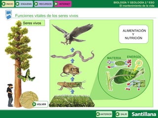 Seres vivos Funciones vitales de los seres vivos ALIMENTACIÓN  Y  NUTRICIÓN ENERGÍA MATERIA INICIO ESQUEMA RECURSOS INTERNET SALIR ANTERIOR VOLVER 