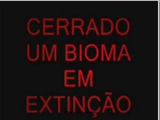 silmara robles escorsin