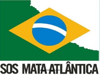 silmara robles escorsin