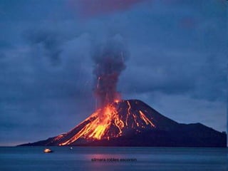 silmara robles escorsin