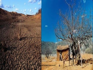 silmara robles escorsin