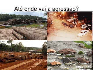 Até onde vai a agressão?silmara robles escorsin