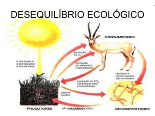 DESEQUILÍBRIO ECOLÓGICOsilmara robles escorsin