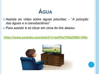 ÁGUA
 Assista ao vídeo sobre águas poluídas: - “A poluição
das águas e a cianobactérias”
 Para assistir é só clicar em cima do link abaixo:
https://www.youtube.com/watch?v=poPIwYkNgO8&t=165s
 