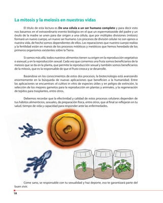 18
La mitosis y la meiosis en nuestras vidas
El título de esta lectura es De una célula a un ser humano completo y para decir esto
nos basamos en el extraordinario evento biológico en el que un espermatozoide del padre y un
óvulo de la madre se unen para dar origen a una célula, que por múltiples divisiones (mitosis)
formará un nuevo cuerpo, un nuevo ser humano. Los procesos de división celular no son ajenos a
nuestra vida, de hecho somos dependientes de ellos. Las reparaciones que nuestro cuerpo realiza
y la fertilidad están en manos de los procesos mitóticos y meióticos que hemos heredado de los
primeros organismos existentes sobre la Tierra.
Si vamos más allá, todos nuestros alimentos tienen su origen en la reproducción vegetativa
o asexual, y en la reproducción sexual. Cada vez que comemos una fruta somos beneficiarios de la
meiosis que se da en la planta, que permite la reproducción sexual y también somos beneficiarios
de la mitosis, que es la responsable de que el fruto crezca y se desarrolle.
Basándose en los conocimientos de estos dos procesos, la biotecnología está avanzando
enormemente en la búsqueda de nuevas aplicaciones que beneficien a la humanidad. Entre
las aplicaciones se encuentran: el cultivo in vitro de especies útiles y en peligro de extinción, la
selección de los mejores gametos para la reproducción en plantas y animales, y la regeneración
de tejidos para trasplantes, entre otros.
Debemos recordar que la efectividad y calidad de estos procesos celulares dependen de
tus hábitos alimenticios, sexuales, de preparación física, entre otros, que al final se reflejarán en tu
salud, tiempo de vida y capacidad para responder ante las enfermedades.
Come sano, se responsable con tu sexualidad y haz deporte, eso te garantizará parte del
buen vivir.
Debemos recordar que la efectividad y calidad de estos procesos celulares dependen de
tus hábitos alimenticios, sexuales, de preparación física, entre otros, que al final se reflejarán en tu
salud, tiempo de vida y capacidad para responder ante las enfermedades.
Come sano, se responsable con tu sexualidad y haz deporte, eso te garantizará parte del
buen vivir.
 