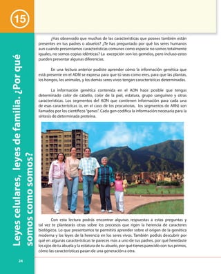24
Leyescelulares,leyesdefamilia.¿Porqué
somoscomosomos?
15
¿Has observado que muchas de las características que posees también están
presentes en tus padres o abuelos? ¿Te has preguntado por qué los seres humanos
aun cuando presentamos características comunes como especie no somos totalmente
iguales, no somos copias idénticas? La excepción son los gemelos, pero incluso estos
pueden presentar algunas diferencias.
En una lectura anterior pudiste aprender cómo la información genética que
está presente en el ADN se expresa para que tú seas como eres, para que las plantas,
los hongos, los animales, y los demás seres vivos tengan características determinadas.
La información genética contenida en el ADN hace posible que tengas
determinado color de cabello, color de la piel, estatura, grupo sanguíneo y otras
características. Los segmentos del ADN que contienen información para cada una
de esas características (o, en el caso de los procariotas, los segmentos de ARN) son
llamados por los científicos“genes”. Cada gen codifica la información necesaria para la
síntesis de determinada proteína.
Con esta lectura podrás encontrar algunas respuestas a estas preguntas y
tal vez te plantearás otras sobre los procesos que rigen la herencia de caracteres
biológicos. Lo que presentamos te permitirá aprender sobre el origen de la genética
moderna y las leyes de la herencia en los seres vivos. También podrás descubrir por
qué en algunas características te pareces más a uno de tus padres, por qué heredaste
los ojos de tu abuela y la estatura de tu abuelo, por qué tienes parecido con tus primos,
cómo las características pasan de una generación a otra.
¿Has observado que muchas de las características que posees también están
presentes en tus padres o abuelos? ¿Te has preguntado por qué los seres humanos
aun cuando presentamos características comunes como especie no somos totalmente
iguales, no somos copias idénticas? La excepción son los gemelos, pero incluso estos
pueden presentar algunas diferencias.
En una lectura anterior pudiste aprender cómo la información genética que
está presente en el ADN se expresa para que tú seas como eres, para que las plantas,
los hongos, los animales, y los demás seres vivos tengan características determinadas.
La información genética contenida en el ADN hace posible que tengas
determinado color de cabello, color de la piel, estatura, grupo sanguíneo y otras
características. Los segmentos del ADN que contienen información para cada una
de esas características (o, en el caso de los procariotas, los segmentos de ARN) son
llamados por los científicos“genes”. Cada gen codifica la información necesaria para la
síntesis de determinada proteína.
Con esta lectura podrás encontrar algunas respuestas a estas preguntas y
tal vez te plantearás otras sobre los procesos que rigen la herencia de caracteres
biológicos. Lo que presentamos te permitirá aprender sobre el origen de la genética
moderna y las leyes de la herencia en los seres vivos. También podrás descubrir por
qué en algunas características te pareces más a uno de tus padres, por qué heredaste
los ojos de tu abuela y la estatura de tu abuelo, por qué tienes parecido con tus primos,
cómo las características pasan de una generación a otra.
 