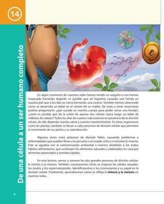 6
14
Deunacélulaaunserhumanocompleto
En algún momento de nuestras vidas hemos tenido un rasguño o nos hemos
tropezado haciendo deporte, es posible que así hayamos causado una herida en
nuestra piel que a los días se cierra formando una cicatriz. También hemos observado
cómo se desarrolla un bebé en el vientre de su madre. De éstas y otras situaciones
podrías preguntarte: ¿qué sucede en nuestro cuerpo para poder cerrar una herida?,
¿cómo es posible que de la unión de apenas dos células nazca luego un bebé de
millones de células? Todos los días de nuestra vida estamos en presencia de la división
celular, de ello depende nuestra salud y nuestro mantenimiento. En otros organismos
como las plantas, también se llevan a cabo procesos de división celular que permiten
el crecimiento de sus partes y su reproducción.
Algunas veces estos procesos de división fallan, causando problemas y
enfermedades que pueden llevar a la persona a un estado crítico e inclusive la muerte.
Esto se agudiza con la contaminación ambiental a nuestro alrededor y los malos
hábitos alimentarios, que sustituyen los alimentos naturales y elaborados en casa por
alimentos procesados y comidas rápidas.
En esta lectura, vamos a conocer los dos grandes procesos de división celular:
la mitosis y la meiosis. También, conoceremos cómo se originan las células sexuales,
los óvulos y los espermatozoides. Identificaremos a los cromosomas y su papel en la
división celular. Finalmente, aprenderemos cómo se refleja la mitosis y la meiosis en
nuestras vidas.
 