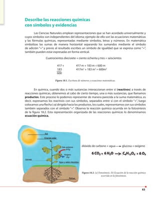 83
Describe las reacciones químicas
con símbolos y evidencias
Las Ciencias Naturales emplean representaciones que se han acordado universalmente y
cuyos símbolos son independientes del idioma; ejemplo de ello son las ecuaciones matemáticas
y las fórmulas químicas, representadas mediante símbolos, letras y números. En matemática
simbolizas las sumas de manera horizontal separando los sumandos mediante el símbolo
de adición “+” y previo al resultado escribes un símbolo de igualdad que se expresa como “=”,
también pueden estar expresadas en forma vertical.
En química, cuando dos o más sustancias interaccionan entre sí (reactivos) a través de
reacciones químicas, obtenemos al cabo de cierto tiempo, una o más sustancias, que llamamos
productos. Este proceso lo podemos representar de manera parecida a la suma matemática, es
decir, expresamos los reactivos con sus símbolos, separados entre sí con el símbolo “+”, luego
colocamos una flecha ( ) dirigida hacia los productos, los cuales, representamos con sus símbolos
también separados con el símbolo “+”. Observa la reacción química ocurrida en la fotosíntesis
de la figura 18.2. Esta representación organizada de las reacciones químicas lo denominamos
ecuación química.
Figura 18.1. Escritura de números y ecuaciones matemáticas.
Figura 18.2. (a) Fotosíntesis. (b) Ecuación de la reacción química
ocurrida en la fotosíntesis.
Cuatrocientos diecisiete + ciento ochenta y tres = seiscientos
417 m + 183 m = 600 m
417m2
+ 183 m2
= 600m2
417 +
183
600
dióxido de carbono + agua glucosa + oxígeno
 
