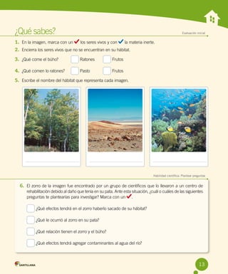 ¿Qué sabes?	 Evaluación inicial
1.	 En la imagen, marca con un los seres vivos y con la materia inerte.
2.	 Encierra los seres vivos que no se encuentran en su hábitat.
3.	 ¿Qué come el búho?	 Ratones	 Frutos
4.	 ¿Qué comen lo ratones?	 Pasto	 Frutos
5.	 Escribe el nombre del hábitat que representa cada imagen.
	 Habilidad científica: Plantear preguntas
6.	 El zorro de la imagen fue encontrado por un grupo de científicos que lo llevaron a un centro de
rehabilitación debido al daño que tenía en su pata. Ante esta situación, ¿cuál o cuáles de las siguientes
preguntas te plantearías para investigar? Marca con un .
¿Qué efectos tendrá en el zorro haberlo sacado de su hábitat?
¿Qué le ocurrió al zorro en su pata?
¿Qué relación tienen el zorro y el búho?
¿Qué efectos tendrá agregar contaminantes al agua del río?
13
 