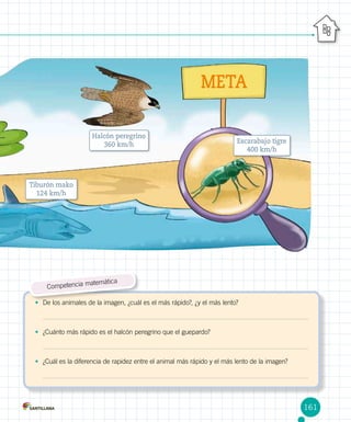 •	 De los animales de la imagen, ¿cuál es el más rápido?, ¿y el más lento?
•	 ¿Cuánto más rápido es el halcón peregrino que el guepardo?
•	 ¿Cuál es la diferencia de rapidez entre el animal más rápido y el más lento de la imagen?
Competencia matemática
META
Tiburón mako
124 km/h
Halcón peregrino
360 km/h Escarabajo tigre
400 km/h
161
 