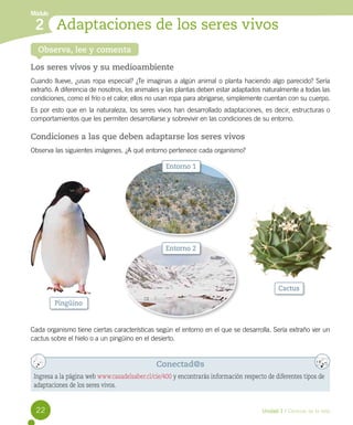 Adaptaciones de los seres vivos
Módulo
2
Observa, lee y comenta
Los seres vivos y su medioambiente
Cuando llueve, ¿usas ropa especial? ¿Te imaginas a algún animal o planta haciendo algo parecido? Sería
extraño. A diferencia de nosotros, los animales y las plantas deben estar adaptados naturalmente a todas las
condiciones, como el frío o el calor; ellos no usan ropa para abrigarse, simplemente cuentan con su cuerpo.
Es por esto que en la naturaleza, los seres vivos han desarrollado adaptaciones, es decir, estructuras o
comportamientos que les permiten desarrollarse y sobrevivir en las condiciones de su entorno.
Condiciones a las que deben adaptarse los seres vivos
Observa las siguientes imágenes. ¿A qué entorno pertenece cada organismo?
Cada organismo tiene ciertas características según el entorno en el que se desarrolla. Sería extraño ver un
cactus sobre el hielo o a un pingüino en el desierto.
Conectad@s
Ingresa a la página web www.casadelsaber.cl/cie/400 y encontrarás información respecto de diferentes tipos de
adaptaciones de los seres vivos.
Entorno 1
Pingüino
Cactus
Entorno 2
22 Unidad 1 / Ciencias de la vida
 