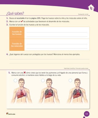 ¿Qué sabes?	 Evaluación inicial
1. Busca el recortable 4 en la página 205. Pega los huesos sobre la niña y los músculos sobre el niño.
2. Marca con un las actividades que favorecen el desarrollo de los músculos.
3. Escribe la función de los huesos y de los músculos.
Función de
los huesos
Función de
los músculos
4. ¿Qué órganos del cuerpo son protegidos por los huesos? Menciona al menos tres ejemplos.
	
Habilidad científica: Formular predicciones
5. Marca con una cómo crees que se verán los pulmones y el hígado de una persona que fuma y
consume alcohol, si mantiene esos hábitos a lo largo de su vida.
53
 