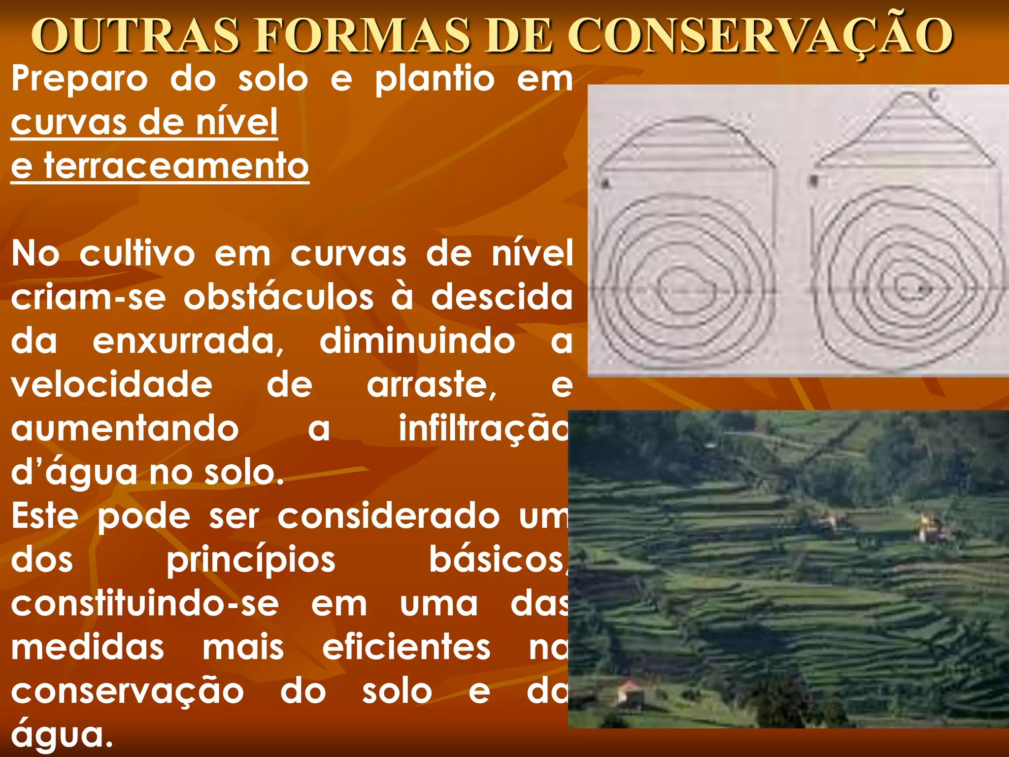 Preparo do solo e plantio em
curvas de nível
e terraceamento
No cultivo em curvas de nível
criam-se obstáculos à descida
da enxurrada, diminuindo a
velocidade de arraste, e
aumentando a infiltração
d’água no solo.
Este pode ser considerado um
dos princípios básicos,
constituindo-se em uma das
medidas mais eficientes na
conservação do solo e da
água.
OUTRAS FORMAS DE CONSERVAÇÃO
 