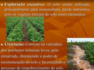  Exploração excessiva: O solo muito utilizado,
principalmente para monocultura, perde nutrientes,
pois os vegetais retiram do solo esses elementos.
 Lixiviação: Consiste na varredura
dos nutrientes minerais leves, pela
enxurrada, diminuindo o poder de
reestruturação do solo e favorecendo o
processo de empobrecimento do solo.
 