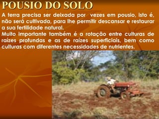 A terra precisa ser deixada por vezes em pousio, isto é,
não será cultivada, para lhe permitir descansar e restaurar
a sua fertilidade natural.
Muito importante também é a rotação entre culturas de
raízes profundas e as de raízes superficiais, bem como
culturas com diferentes necessidades de nutrientes.
POUSIO DO SOLO
 