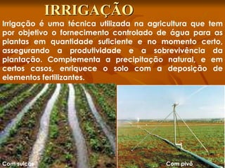 Irrigação é uma técnica utilizada na agricultura que tem
por objetivo o fornecimento controlado de água para as
plantas em quantidade suficiente e no momento certo,
assegurando a produtividade e a sobrevivência da
plantação. Complementa a precipitação natural, e em
certos casos, enriquece o solo com a deposição de
elementos fertilizantes.
Com sulcos Com pivô
IRRIGAÇÃO
 