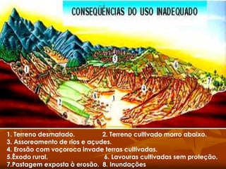 1. Terreno desmatado. 2. Terreno cultivado morro abaixo.
3. Assoreamento de rios e açudes.
4. Erosão com voçoroca invade terras cultivadas.
5.Êxodo rural. 6. Lavouras cultivadas sem proteção.
7.Pastagem exposta à erosão. 8. Inundações
 