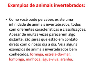 Exemplos de animais invertebrados:
• Como você pode perceber, existe uma
infinidade de animais invertebrados, todos
com diferentes características e classificações.
Apesar de muitas vezes parecerem algo
distante, são seres que estão em contato
direto com o nosso dia a dia. Veja alguns
exemplos de animais invertebrados bem
conhecidos: formiga, estrela-do-mar,
lombriga, minhoca, água-viva, aranha.
 