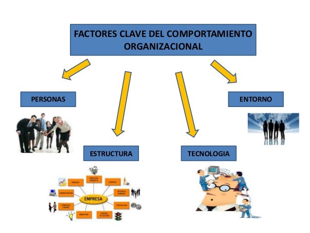 Comportamiento Organizacional