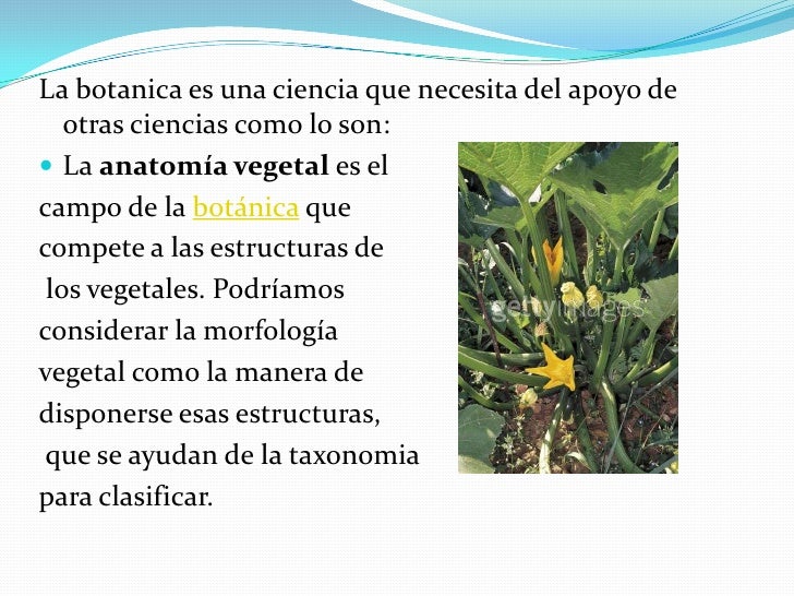 ciencias auxiliares de la botanica 2 728