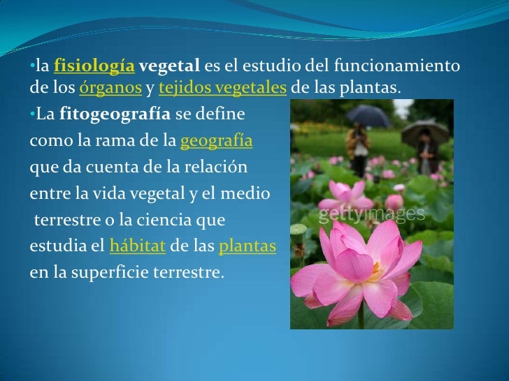 Ciencias Auxiliares De La Botanica