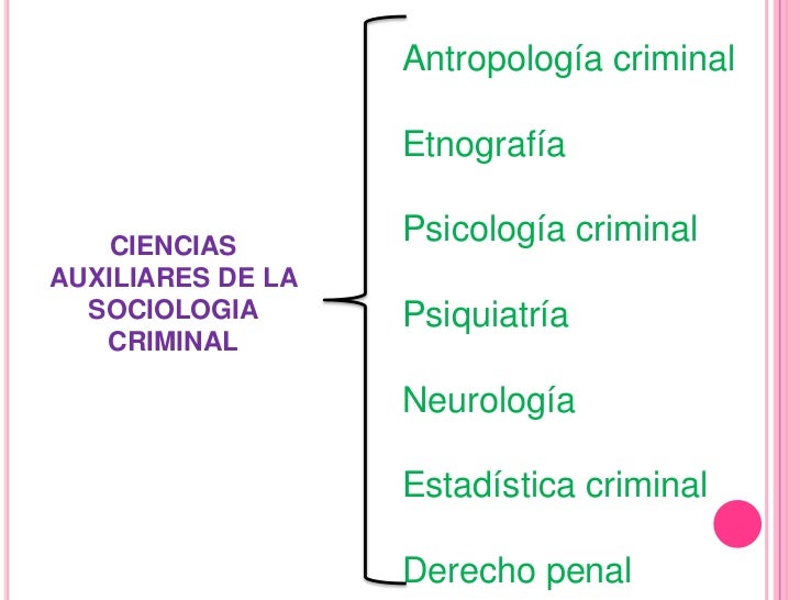 Ciencias auxiliares y ramas de la sociologia
