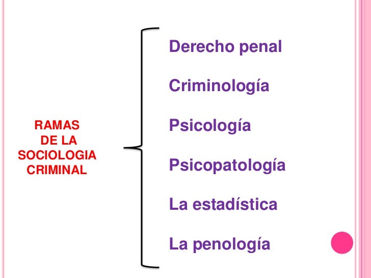 Ciencias auxiliares y ramas de la sociologia