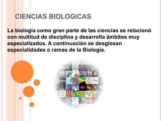 CIENCIAS BIOLOGICAS
La biología como gran parte de las ciencias se relacionó
con multitud de disciplina y desarrolla ámbitos muy
especializados. A continuación se desglosan
especialidades o ramas de la Biología.

 