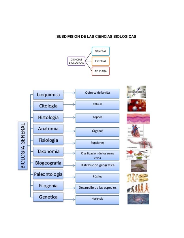 Ciencias biologicas