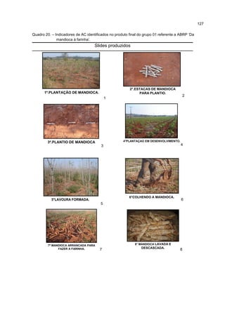 127
Quadro 20. – Indicadores de AC identificados no produto final do grupo 01 referente a ABRP ‘Da
mandioca à farinha’.
Slides produzidos
1º.PLANTAÇÃO DE MANDIOCA.
1
2°.ESTACAS DE MANDIOCA
PARA PLANTIO.
2
3º.PLANTIO DE MANDIOCA
3
4°PLANTAÇAO EM DESENVOLVIMENTO.
4
5°LAVOURA FORMADA.
5
6°COLHENDO A MANDIOCA.
6
7º MANDIOCA ARRANCADA PARA
FAZER A FARINHA. 7
8° MANDIOCA LAVADA E
DESCASCADA.
8
 