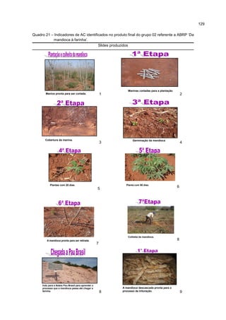 129
Quadro 21 – Indicadores de AC identificados no produto final do grupo 02 referente a ABRP ‘Da
mandioca à farinha’.
Slides produzidos
Maniva pronta para ser cortada. 1
Manivas cortadas para a plantação.
2
Cobertura da maniva.
3
Germinação da mandioca.
4
Plantas com 20 dias.
5
Planta com 90 dias.
6
A mandioca pronta para ser retirada.
7
Colheita da mandioca.
8
Indo para a Aldeia Pau-Brasil para aprender o
processo que a mandioca passa até chegar a
farinha. 8
A mandioca descascada pronta para o
processo de trituração. 9
 