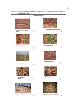 131
Quadro 22 – Indicadores de AC identificados no produto final do grupo 03 referente a ABRP ‘Da
mandioca à farinha’.
Slides produzidos
Preparando o ramo para o
plantio 1
Plantio das estacas de mandioca
2
Planta com 20 dias
3
Planta com 90 dias
4
Lavoura formada
5
Pronta para a colheita
6
Mandioca sendo
retirada
7
Mandioca pronta para
fazer a farinha
8
Chegada na Aldeia
9
Mandioca lavada e descascada
10
 
