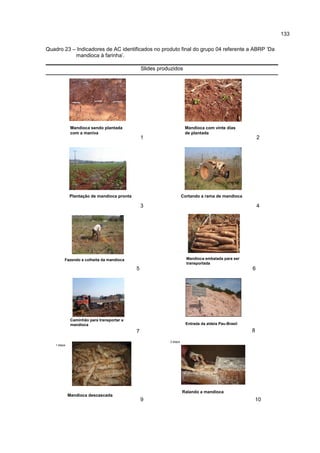 133
Quadro 23 – Indicadores de AC identificados no produto final do grupo 04 referente a ABRP ‘Da
mandioca à farinha’.
Slides produzidos
Mandioca sendo plantada
com a maniva
1
Mandioca com vinte dias
de plantada
2
Plantação de mandioca pronta
3
Cortando a rama de mandioca
4
Fazendo a colheita da mandioca
5
Mandioca embalada para ser
transportada
6
Caminhão para transportar a
mandioca
7
Entrada da aldeia Pau-Brasil
8
Mandioca descascada
1 etapa
9
Ralando a mandioca
2 etapa
10
 