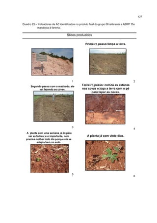 137
Quadro 25 – Indicadores de AC identificados no produto final do grupo 06 referente a ABRP ‘Da
mandioca à farinha’.
Slides produzidos
1
Primeiro passo:limpa a terra.
2
Segundo passo:com o machado, ele
vai fazendo as covas.
3
Terceiro passo: coloca as estacas
nas covas e joga a terra com o pé
para tapar as covas.
4
A planta com uma semana já dá para
ver as folhas, e o importante, nem
precisa molhar todo dia porque ela se
adapta bem no solo.
5
A planta já com vinte dias.
6
 
