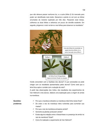 158
que não deixava passar nenhuma luz, e a outra (folha 2) foi marcada para
poder ser identificada mais tarde. Deixamos a planta no sol com as folhas
arrumadas da maneira explicada por três dias. Passando esse tempo,
colhemos as duas folhas e retiramos um pouco da clorofila existente. Em
seguida, pingamos o iodo na terra e nas folhas para observar os resultados”
Vocês concordam com a hipótese dos alunos? A que conclusões se pode
chegar com os resultados apresentados pelos alunos? Como será que a
terra ficou após o contato com a solução de iodo?
A partir das observações dos índios, dos resultados dos experimentos de
Van Helmont e dos alunos, elabore uma explicação para a origem do amido
na mandioca.
Questões-
problemas
 Por que a mandioca silvestre ou mandioca-mãe tinha raízes finas?
 De onde a raiz da mandioca retira nutrientes para aumentar sua
massa?
 Por que a raiz da mandioca armazena amido?
 Somente as plantas produzem amido?
 Existe alguma relação entre a fotossíntese e a presença de amido na
raiz da mandioca? Qual?
 Como foi realizado o experimento de Van Helmont?
Uma das folhas foi envolvida no
papel alumínio (folha 1) e a
outra marcada como folha 2
As folhas foram fotografadas
depois de terem ficado na solução
de iodo.
Folha 2Folha 1
 
