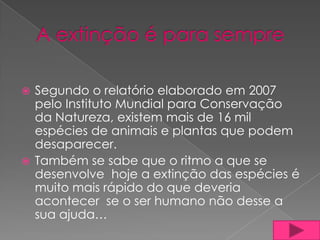  Segundo o relatório elaborado em 2007
  pelo Instituto Mundial para Conservação
  da Natureza, existem mais de 16 mil
  espécies de animais e plantas que podem
  desaparecer.
 Também se sabe que o ritmo a que se
  desenvolve hoje a extinção das espécies é
  muito mais rápido do que deveria
  acontecer se o ser humano não desse a
  sua ajuda…
 