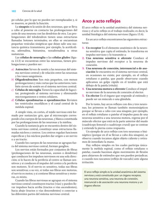102 Ciencias de la salud
po celular, por lo que no pueden ser reemplazadas y, si
se mueren, se pierde la función.
La sinapsis es la unión de dos neuronas, que se lleva
a cabo al ponerse en contacto las prolongaciones del
axón de una neurona con las dendritas de otra. Las pro-
longaciones del telodendron tienen unas estructuras
llamadas botones terminales; en ellas se encuentran
pequeñas vesículas sinápticas que dejan salir una sus-
tancia química transmisora; por ejemplo, la acetilcoli-
na, adrenalina, histamina, noradrenalina u otras
sustancias.
Las células de neuroglia o las células gliales (ﬁgu-
ra 13.3) se encuentran entre las neuronas, tienen pro-
longaciones y pueden ser:
a) Astrocitos Sirven de sostén a las neuronas del siste-
ma nervioso central y de relación entre las neuronas
y los vasos sanguíneos.
b) Oligodendrocitos Son más pequeños, con menos
prolongaciones y más cortas que las anteriores; tam-
bién sirven de sostén en el sistema nervioso central.
c) Células de microglia Tienen la capacidad de fagoci-
tar, protegiendo al sistema nervioso y eliminando
microorganismos o restos celulares.
d) Células ependimarias o ependimocitos Revisten
los ventrículos encefálicos y el canal central de la
médula espinal.
A simple vista, en cortes, el tejido nervioso está for-
mado por sustancias: gris, que al microscopio corres-
ponde a los cuerpos de las neuronas, y blanca constituida
por las prolongaciones de las neuronas y la mielina.
Cuando la sustancia gris se encuentra dentro del sis-
tema nervioso central, constituye unas estructuras lla-
madas núcleos y centros. Los centros regulan funciones
especíﬁcas y los núcleos pueden dar origen a un nervio
o a un tracto.
Cuando los cuerpos de las neuronas se agrupan fue-
ra del sistema nervioso central, forman ganglios.
Los nervios están formados por conjuntos de ﬁbras
(prolongaciones de las neuronas, axones o dendritas)
que conducen los impulsos nerviosos en una sola direc-
ción; si lo hacen de la periferia al centro se llaman sen-
sitivos y si conducen el impulso del centro a la periferia
son motores. Si el nervio es sensitivo, todas sus ﬁbras
son sensitivas; a su vez, si todas sus ﬁbras son motoras,
el nervio es motor, y si contiene ﬁbras sensitivas y moto-
ras, es mixto.
Cuando las ﬁbras nerviosas se agrupan en el sistema
nervioso central constituyen tractos (vías) y pueden lle-
var impulsos hacia arriba (tractos o vías ascendentes),
hacia abajo (tractos o vías descendentes) o conectar a
las diferentes partes del sistema nervioso central.
Arco y acto reflejos
El arco reﬂejo es la unidad anatómica del sistema ner-
vioso y el acto reﬂejo es el trabajo realizado; es decir, la
unidad ﬁsiológica del sistema nervioso (ﬁgura 13.4).
En un arco reﬂejo encontramos las siguientes estruc-
turas:
1. Un receptor Es el elemento anatómico de la neuro-
na sensitiva que capta el estímulo, lo transforma en
impulso nervioso y lo transmite a:
2. Una neurona sensitiva o aferente Conduce el
impulso nervioso del receptor a la neurona de
conexión.
3. Una neurona de conexión, internuncial o de aso-
ciación Se encuentra en el sistema nervioso central,
en ocasiones no existe; por ejemplo, en el reﬂejo
rotuliano o patelar, que puede observarse cuando
aplicamos un golpe rápido en el tendón que está
debajo de la patela (rótula).
4. Una neurona motora o eferente Conduce el impul-
so nervioso de la neurona de conexión al elector.
5. Un efector Es el órgano que responde al estímulo y
puede ser un músculo o una glándula.
Por lo tanto, hay arcos reﬂejos con dos y tres neuro-
nas; los primeros se llaman también monosinápticos
porque se llevan a cabo con una sinapsis; por ejemplo,
en el reﬂejo rotuliano o patelar el impulso pasa de una
neurona sensitiva a una neurona motora, regresa por el
músculo efector que está en la parte anterior del muslo
(cuadríceps femoral o cuadríceps crural) que se contrae
y extiende la pierna como respuesta.
Un ejemplo de arco reﬂejo con tres neuronas o bisi-
náptico (porque en él se llevan a cabo dos sinapsis), se
observa cuando tocamos algún objeto caliente y retira-
mos de inmediato la mano.
Hay reﬂejos simples en los cuales participa única-
mente la médula espinal, como el reﬂejo rotuliano o
patelar, cuando hacemos algún movimiento de ﬂexión
para alejarnos de estímulos que nos pueden perjudicar,
o cuando nos rascamos (reﬂejo de rascado) ante alguna
irritación.
El arco reflejo simple es la unidad anatómica del sistema
nervioso y está constituido por: un órgano receptor,
una neurona sensitiva, una neurona de conexión,
interuncial o de asociación una neurona motora y un
órgano efector.
 