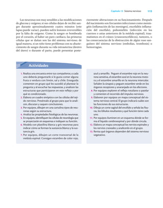 113
Capítulo 13 Sistema nervioso
Las neuronas son muy sensibles a las modiﬁcaciones
de glucosa y oxígeno; si sus células dejan de recibir san-
gre durante aproximadamente cuatro minutos (este
lapso puede variar), pueden sufrir lesiones irreversibles
por la falta de oxígeno. Como la sangre es bombeada
por el corazón, al haber un paro cardiaco, las primeras
células que se dañan son las del sistema nervioso; de
igual manera, si un niño tiene problemas con su abaste-
cimiento de sangre durante su vida intrauterina (dentro
del útero) o durante el parto, puede presentar poste-
riormente alteraciones en su funcionamiento. Después
del nacimiento son frecuentes infecciones como menin-
gitis (inﬂamación de las meninges), encefalitis inﬂama-
ción del encéfalo), poliomielitis (infección en los
cuernos o astas anteriores de la médula espinal), trau-
matismos en el cráneo (craneoencefálicos), tumores, o
las consecuencias de la obstrucción de algún vaso san-
guíneo del sistema nervioso (embolias, trombosis) o
hemorragias.
Actividades
1. Realiza una encuesta entre tus compañeros; a cada
uno deberás preguntarle si le gusta comer alguna
fruta o verdura con limón, sal y chile. Enseguida
comenten en grupo qué les sucedió al plantear la
pregunta y al escuchar las respuestas, y analicen las
estructuras que participaron en este reflejo y por
qué es condicionado.
2. Elabora un cuadro sinóptico con las células del teji-
do nervioso. Preséntalo al grupo para que lo anali-
cen, discutan y saquen conclusiones.
3. Por equipos, dibujen en una cartulina tipos de neu-
ronas según su estructura.
4. Analiza las propiedades fisiológicas de las neuronas.
5. En equipos, identifiquen las células de neurología que
se proyectarán en esquemas e indiquen su función.
6. Modela con plastilina blanca y gris neuronas para
indicar cómo se forman la sustancia blanca y la sus-
tancia gris.
7. Por equipos, dibujen un corte transversal de la
médula espinal. Consigan estambre de color rojo,
azul y amarillo. Peguen el estambre rojo en la neu-
rona sensitiva, el estambre azul en la neurona moto-
ra y el estambre amarillo en la neurona intercalar.
Señalen la sinapsis y peguen estambre verde en los
órganos receptores y anaranjado en los efectores.
8. Por equipos exploren el reflejo rotuliano o patelar
y comenten el recorrido del impulso nervioso.
9. Elaboren por equipos un mapa conceptual del sis-
tema nervioso central. El grupo indicará cuáles son
las funciones de sus estructuras.
10. Dibuja un corte sagital del encéfalo y señala las fisu-
ras, los lóbulos resultantes y qué función tiene cada
uno.
11. Por equipos iluminen en un esquema dónde se for-
ma el líquido cerebroespinal y por dónde circula.
12. Elabora un mapa conceptual los nervios espinales y
los nervios craneales y analícenlo en el grupo.
13. Revisa qué órganos dependen del sistema nervioso
vegetativo.
 