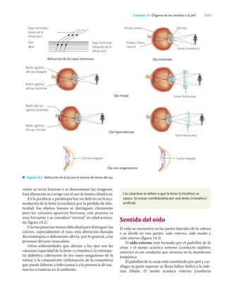 117
Capítulo 14 Órganos de los sentidos y la piel
Figura 14.2 Refracción de la luz por el sistema de lentes del ojo.
Ojo miope
Ojo hipermétrope
Ojo con astigmatismo
Refracción de los rayos luminosos
Aire
agua
Rayo luminoso
(antes de la
refracción)
Rayo luminoso
(después de la
refracción)
Ojo emétrope
Humor vítreo Córnea
Lente (cristalino)
Fóvea o fosita
central
Bulbo (globo)
del ojo alargado
Bulbo (globo)
del ojo anormal
Bulbo del ojo
(globo) acortado
Bulbo (globo)
del ojo normal
Córnea irregular
Lente bicóncava
Lente biconvexa
Lente irregular
visión se torna borrosa o se distorsionan las imágenes.
Esta alteración se corrige con el uso de lentes cilíndricas.
En la presbicia o presbiopía hay un defecto en la aco-
modación de la lente (cristalino) por la pérdida de elas-
ticidad; los objetos lejanos se distinguen claramente
pero los cercanos aparecen borrosos, este proceso es
muy frecuente y se considera “normal” en edad avanza-
da (ﬁgura 14.2).
Ciertas personas tienen diﬁcultad para distinguir los
colores, especialmente el rojo; esta alteración llamada
dicromatopsia o daltonismo afecta, por lo general, a las
personas del sexo masculino.
Otras enfermedades que afectan a los ojos son las
cataratas (opacidad de la lente o cristalino), la retinopa-
tía diabética (alteración de los vasos sanguíneos de la
retina) y la conjuntivitis (inﬂamación de la conjuntiva)
que puede deberse a infecciones o a la presencia de sus-
tancias irritativas en el ambiente.
Sentido del oído
El oído se encuentra en las partes laterales de la cabeza
y se divide en tres partes: oído externo, oído medio y
oído interno (ﬁgura 14.3).
El oído externo está formado por el pabellón de la
oreja y el meato acústico externo (conducto auditivo
externo) es un conducto que termina en la membrana
timpánica.
El pabellón de la oreja está constituido por piel y car-
tílago; su parte superior se llama hélice (hélix) y la infe-
rior, lóbulo. El meato acústico externo (conducto
Las cataratas se deben a que la lente (cristalino) se
opaca. Se tratan cambiándola por una lente (cristalino)
artificial.
 