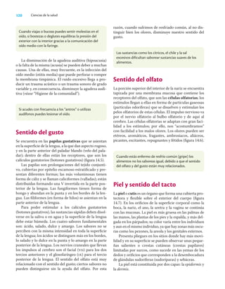 120 Ciencias de la salud
La disminución de la agudeza auditiva (hipoacusia)
o la falta de la misma (acusia) se pueden deber a muchas
causas. Una de ellas, muy frecuente, es la infección del
oído medio (otitis media) que puede perforar o romper
la membrana timpánica. El ruido excesivo llega a pro-
ducir un trauma acústico o un trauma sonoro de grado
variable y, en consecuencia, disminuye la agudeza audi-
tiva (véase “Higiene de la comunidad”).
razón, cuando sufrimos de resfriado común, al no dis-
tinguir bien los olores, disminuye nuestro sentido del
gusto.
Cuando viajas o buceas puedes sentir molestias en el
oído, si bostezas o deglutes equilibras la presión del
exterior con la interior gracias a la comunicación del
oído medio con la faringe.
Si acudes con frecuencia a los “antros” o utilizas
audífonos puedes lesionar el oído.
Sentido del gusto
Se encuentra en las papilas gustativas que se asientan
en la superﬁcie de la lengua, a la que dan aspecto rugoso,
y en la parte anterior del paladar blando (velo del pala-
dar); dentro de ellas están los receptores, que son los
calículos gustatorios (botones gustativos) (ﬁgura 14.5).
Las papilas son prolongaciones del tejido conjunti-
vo, cubiertas por epitelio escamoso estratiﬁcado y pre-
sentan diferentes formas; las más voluminosas tienen
forma de cáliz y se llaman caliciformes (valladas); están
distribuidas formando una V invertida en la parte pos-
terior de la lengua. Las fungiformes tienen forma de
hongo y abundan en la punta y en los bordes de la len-
gua. Las ﬁliformes (en forma de hilos) se asientan en la
parte anterior de la lengua.
Para poder estimular a los calículos gustatorios
(botones gustativos), las sustancias sápidas deben disol-
verse en la saliva o en agua y la superﬁcie de la lengua
debe estar húmeda. Los cuatro sabores fundamentales
son: ácido, salado, dulce y amargo. Los sabores no se
perciben con la misma intensidad en toda la superﬁcie
de la lengua; los ácidos se distinguen más en los bordes,
lo salado y lo dulce en la punta y lo amargo en la parte
posterior de la lengua. Los nervios craneales que llevan
los impulsos al cerebro son el facial (vii) para los dos
tercios anteriores y el glosofaríngeo (ix) para el tercio
posterior de la lengua. El sentido del olfato está muy
relacionado con el sentido del gusto; ciertos sabores no
pueden distinguirse sin la ayuda del olfato. Por esta
Las sustancias como los cítricos, el chile y la sal
excesivos dificultan saborear sustancias suaves de los
alimentos.
Cuando estás enfermo de resfrío común (gripe) los
alimentos no los saboreas igual, debido a que el sentido
del olfato y del gusto están muy relacionados.
Sentido del olfato
La porción superior del interior de la nariz se encuentra
tapizada por una membrana mucosa que contiene los
receptores del olfato, que son las células olfatorias; los
estímulos llegan a ellas en forma de partículas gaseosas
(partículas odoríferas) que se disuelven y estimulan los
pelos olfatorios de estas células. El impulso nervioso va
por el nervio olfatorio al bulbo olfatorio y de aquí al
cerebro. Las células olfatorias se adaptan con gran faci-
lidad a los estímulos; por ello, nos “acostumbramos”
con facilidad a los malos olores. Los olores pueden ser
etéreos, aromáticos, fragantes, ambrosiacos, aliáceos,
picantes, excitantes, repugnantes y fétidos (ﬁgura 14.6).
Piel y sentido del tacto
La piel o cutis es un órgano que forma una cubierta pro-
tectora y ﬂexible sobre el exterior del cuerpo (ﬁgura
14.7). En los oriﬁcios de la superﬁcie corporal como la
boca, la nariz, el ano, la uretra y la vagina se continúa
con las mucosas. La piel es más gruesa en las palmas de
las manos, las plantas de los pies y la espalda, y más del-
gada en los párpados; su color varía entre los individuos
y aun en el mismo individuo, ya que hay zonas más oscu-
ras como los pezones, la areola y los genitales externos.
Presenta pliegues en los sitios donde hay más movi-
lidad y en su superﬁcie se pueden observar unas peque-
ñas salientes o crestas cutáneas (crestas papilares)
limitadas por surcos, como sucede en las yemas de los
dedos y oriﬁcios que corresponden a la desembocadura
de glándulas sudoríferas (sudoríparas) y sebáceas.
La piel está constituida por dos capas: la epidermis y
la dermis.
 