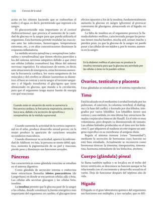 128 Ciencias de la salud
actúa en los riñones haciendo que se reabsorban el
sodio y el agua, es decir, permitiendo que regresen a la
sangre.
El glucocorticoide más importante es el cortisol
(hidrocortisona), que provoca el aumento de la canti-
dad de glucosa en la sangre para que pueda utilizarla el
organismo. Esta hormona permite modular las reaccio-
nes ante las infecciones, hemorragias, temperaturas
extremas, etc., y en altas concentraciones disminuye la
respuesta inﬂamatoria.
La médula secreta epinefrina y norepinefrina (adre-
nalina y noradrenalina) que tienen efectos parecidos a
los del sistema nervioso simpático debido a que entre
sus células (células cromaﬁnes) hay ﬁbras del sistema
nervioso vegetativo. En situaciones de estrés; es decir,
ante situaciones de emergencia, estas hormonas aumen-
tan la frecuencia cardiaca, los vasos sanguíneos de los
músculos y del cerebro se dilatan (aumentan su diáme-
tro), el bazo se contrae y envía sangre al torrente sanguí-
neo y el hígado transforma el glucógeno que tiene
almacenado en glucosa, que manda a la circulación,
para que el organismo tenga mayor fuente de energía
con qué reaccionar.
efectos opuestos a los de la insulina; fundamentalmente
aumenta la glucosa en sangre (glicemia) al provocar
conversión de glucógeno, almacenado en el hígado, en
glucosa.
La falta de insulina en el organismo provoca la lla-
mada diabetes mellitus, caracterizada porque las perso-
nas tienen mucha hambre, mucha sed, orinan mucho y
pierden peso, ya que la glucosa de la sangre no puede
pasar a las células de sus tejidos y, por lo mismo, aumen-
ta en la sangre.
Cuando estás en situación de estrés te aumenta la
frecuencia cardíaca, la frecuencia respiratoria, sientes la
boca seca, debido a la secreción de epinefrina y
norepinefrina de la médula suprarrenal.
En la diabetes mellitus el páncreas no produce la
insulina necesaria para que la glucosa sea asimilada por
las células o éstas no la pueden utilizar.
Cuando aumenta la actividad de la corteza suprarre-
nal en el niño, produce desarrollo sexual precoz; en la
mujer produce la aparición de caracteres sexuales
secundarios masculinos.
Cuando disminuye su actividad, aparece la enferme-
dad de Addison: en ésta, la persona se siente débil, apá-
tica, aumenta la pigmentación de su piel y mucosas,
pierde peso y disminuye sus funciones sexuales.
Páncreas
Sus características como glándula exocrina se estudian
en el sistema digestivo.
Como glándula de secreción interna o endocrina
tiene estructuras llamadas islotes pancreáticos (de
Langerhans) en donde se encuentran células alfa y beta.
Las células alfa secretan glucagon y las células beta,
insulina.
La insulina permite que la glucosa pase de la sangre
a las células, donde constituye la fuente energética más
importante del organismo; en cambio, el glucagon tiene
Ovarios, testículos y placenta
Estas glándulas se estudiarán en el sistema reproductor.
Timo
Está localizado en el mediastino (cavidad limitada por los
pulmones, el esternón, la columna vertebral, el diafrag-
ma y la base del cuello), y formado por dos lóbulos, inte-
grados por varios lobulillos. Los lobulillos tienen una
corteza y una médula; en esta última hay estructuras lla-
madas corpúsculos tímicos (de Hasall). En el niño es muy
voluminoso, pero después va disminuyendo de tamaño.
Las células linfoides producidas en el timo son los linfo-
citos T, que adquieren al madurar en este órgano un antí-
geno especíﬁco en su membrana: el antígeno theta.
Regula el sistema inmune (véase “Inmunidad”),
mediante la secreción de hormonas cuya función no
está bien estudiada. Actualmente se reconocen como
hormonas tímicas: la timosina, timopoyetina, timosta-
tina, hormona estimulante de los linfocitos, etcétera.
Cuerpo (glándula) pineal
Se llama también epíﬁsis y se localiza en el techo del
tercer ventrículo; se desconoce su función aunque se ha
relacionado con el crecimiento y desarrollo sexual en el
varón. Deja de funcionar después del séptimo año de
vida.
Hígado
El hígado es el gran laboratorio químico del organismo;
sus funciones son múltiples, y tan variadas, que es difí-
 