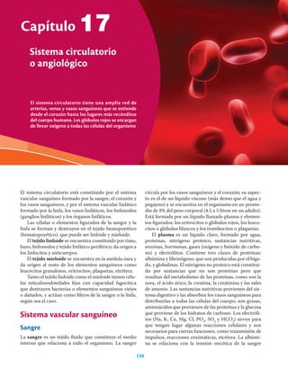 138 Ciencias de la salud
El sistema circulatorio tiene una amplia red de
arterias, venas y vasos sanguíneos que se extiende
desde el corazón hasta los lugares más recónditos
del cuerpo humano. Los glóbulos rojos se encargan
de llevar oxígeno a todas las células del organismo
Capítulo
Sistema circulatorio
o angiológico
138
El sistema circulatorio está constituido por el sistema
vascular sanguíneo formado por la sangre, el corazón y
los vasos sanguíneos, y por el sistema vascular linfático
formado por la linfa, los vasos linfáticos, los linfonodos
(ganglios linfáticos) y los órganos linfáticos.
Las células o elementos ﬁgurados de la sangre y la
linfa se forman y destruyen en el tejido hemopoyético
(hematopoyético), que puede ser linfoide y mieloide.
El tejido linfoide se encuentra constituido por timo,
bazo, linfonodos y tejido linfático periférico; da origen a
los linfocitos y anticuerpos.
El tejido mieloide se encuentra en la médula ósea y
da origen al resto de los elementos sanguíneos como
leucocitos granulosos, eritrocitos, plaquetas, etcétera.
Tanto el tejido linfoide como el mieloide tienen célu-
las reticuloendoteliales ﬁjas con capacidad fagocítica
que destruyen bacterias o elementos sanguíneos viejos
o dañados, y actúan como ﬁltros de la sangre o la linfa,
según sea el caso.
Sistema vascular sanguíneo
Sangre
La sangre es un tejido ﬂuido que constituye el medio
interno que relaciona a todo el organismo. La sangre
circula por los vasos sanguíneos y el corazón; su aspec-
to es el de un líquido viscoso (más denso que el agua y
pegajoso) y se encuentra en el organismo en un prome-
dio de 8% del peso corporal (4.5 a 5 litros en un adulto).
Está formada por un líquido llamado plasma y elemen-
tos ﬁgurados: los eritrocitos o glóbulos rojos, los leuco-
citos o glóbulos blancos y los trombocitos o plaquetas.
El plasma es un líquido claro, formado por agua,
proteínas, nitrógeno proteico, sustancias nutritivas,
enzimas, hormonas, gases (oxígeno y bióxido de carbo-
no) y electrólitos. Contiene tres clases de proteínas:
albúmina y ﬁbrinógeno, que son producidas por el híga-
do, y globulinas. El nitrógeno no proteico está constitui-
do por sustancias que no son proteínas pero que
resultan del metabolismo de las proteínas, como son la
urea, el ácido úrico, la creatina, la creatinina y las sales
de amonio. Las sustancias nutritivas provienen del sis-
tema digestivo y las absorben los vasos sanguíneos para
distribuirlas a todas las células del cuerpo, son grasas,
aminoácidos que provienen de las proteínas y la glucosa
que proviene de los hidratos de carbono. Los electróli-
tos (Na, K, Ca, Mg, Cl, PO4
, SO4
y HCO3
) sirven para
que tengan lugar algunas reacciones celulares y son
necesarios para ciertas funciones, como transmisión de
impulsos, reacciones enzimáticas, etcétera. La albúmi-
na se relaciona con la tensión oncótica de la sangre
17
 