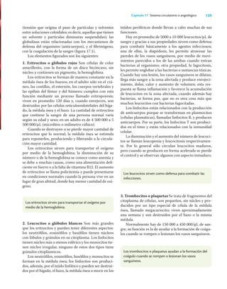 139
Capítulo 17 Sistema circulatorio o angiológico
(tensión que origina el paso de partículas y solventes
entre soluciones coloidales; es decir, aquellas que tienen
un solvente y partículas diminutas suspendidas); las
globulinas están relacionadas con los mecanismos de
defensa del organismo (anticuerpos), y el ﬁbrinógeno,
con la coagulación de la sangre (ﬁgura 17.1).
Los elementos ﬁgurados son los siguientes:
1. Eritrocitos o glóbulos rojos Son células de color
amarillento, con la forma de un disco bicóncavo, sin
núcleo y contienen un pigmento, la hemoglobina.
Los eritrocitos se forman de manera constante en la
médula ósea de los huesos; en el adulto sólo en el crá-
neo, las costillas, el esternón, los cuerpos vertebrales y
las epíﬁsis del fémur y del húmero; cumplen con esta
función mediante un proceso llamado eritropoyesis;
viven en promedio 120 días y, cuando envejecen, son
destruidos por las células reticuloendoteliales del híga-
do, la médula ósea y el bazo. La cantidad de eritrocitos
que contiene la sangre de una persona normal varía
según su edad y sexo; en un adulto es de 4 500 000 a 5
500 000/μL (microlitro o milímetro cúbico).
Cuando se destruyen o se pierde mayor cantidad de
eritrocitos que lo normal, la médula ósea se estimula
para reponerlos, produciendo y liberando a la circula-
ción mayor cantidad.
Los eritrocitos sirven para transportar el oxígeno
por medio de la hemoglobina; la disminución de su
número o de la hemoglobina se conoce como anemia y
se debe a muchas causas, como una alimentación deﬁ-
ciente en hierro o a la falta de vitamina B12. El aumento
de eritrocitos se llama policitemia y puede presentarse
en condiciones normales cuando la persona vive en un
lugar de gran altitud, donde hay menor cantidad de oxí-
geno.
tejidos periféricos donde llevan a cabo muchas de sus
funciones.
Hay en promedio de 5000 a 10 000 leucocitos/μL de
sangre y gracias a sus propiedades sirven como defensa
para combatir básicamente a los agentes infecciosos;
una de ellas, la diapédesis, les permite atravesar las
paredes de los vasos sanguíneos, por medio de movi-
mientos parecidos a los de las amibas cuando entran
bacterias al organismo; otra propiedad, la fagocitosis,
les permite englobar a las bacterias o sustancias tóxicas.
Cuando hay una lesión, los vasos sanguíneos se dilatan,
llega más sangre a la zona afectada y produce enrojeci-
miento, dolor, calor y aumento de volumen; esta res-
puesta se llama inﬂamación y favorece la acumulación
de leucocitos en la zona afectada; cuando además hay
bacterias, se forma pus, que no es otra cosa más que
muchos leucocitos con bacterias fagocitadas.
Los linfocitos están relacionados con la producción
de anticuerpos porque se transforman en plasmocitos
(células plasmáticas), llamadas linfocitos B, y producen
anticuerpos. Por su parte, los linfocitos T son produci-
dos en el timo y están relacionados con la inmunidad
celular.
La disminución y el aumento del número de leucoci-
tos se llaman leucopenia y leucocitosis respectivamen-
te. Por lo general sólo circulan leucocitos maduros,
pero cuando se producen en forma acelerada se pierde
el control y se observan algunos con aspecto inmaduro.
Los eritrocitos sirven para transportar el oxígeno por
medio de la hemoglobina.
Los leucocitos sirven como defensa para combatir las
infecciones.
Los trombocitos o plaquetas ayudan a la formación del
coágulo cuando se rompen o lesionan los vasos
sanguíneos.
2. Leucocitos o glóbulos blancos Son más grandes
que los eritrocitos y pueden tener diferentes aspectos:
los neutróﬁlos, eosinóﬁlos y basóﬁlos tienen núcleos
con lóbulos y gránulos en su citoplasma. Los linfocitos
tienen núcleo más o menos esférico y los monocitos tie-
nen núcleo irregular, ninguno de estos dos tipos tiene
gránulos citoplásmicos.
Los neutróﬁlos, eosinóﬁlos, basóﬁlos y monocitos se
forman en la médula ósea; los linfocitos son produci-
dos, además, por el tejido linfático y pueden ser destrui-
dos por el hígado, el bazo, la médula ósea o morir en los
3. Trombocitos o plaquetas Se trata de fragmentos del
citoplasma de células, son pequeños, sin núcleo y pro-
ducidos por un tipo especial de célula de la médula
ósea, llamado megacariocito; viven aproximadamente
una semana y son destruidos por el bazo o la misma
médula.
Normalmente hay de 150 000 a 450 000/μL de san-
gre; su función es la de ayudar a la formación de coágu-
los cuando se rompen o lesionan los vasos sanguíneos.
 