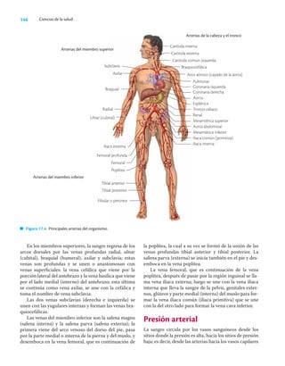 146 Ciencias de la salud
En los miembros superiores, la sangre regresa de los
arcos dorsales por las venas profundas radial, ulnar
(cubital), braquial (humeral), axilar y subclavia; estas
venas son profundas y se unen o anastomosan con
venas superﬁciales: la vena cefálica que viene por la
porción lateral del antebrazo y la vena basílica que viene
por el lado medial (interno) del antebrazo; esta última
se continúa como vena axilar, se une con la cefálica y
toma el nombre de vena subclavia.
Las dos venas subclavias (derecha e izquierda) se
unen con las yugulares internas y forman las venas bra-
quiocefálicas.
Las venas del miembro inferior son la safena magna
(safena interna) y la safena parva (safena externa); la
primera viene del arco venoso del dorso del pie, pasa
por la parte medial o interna de la pierna y del muslo, y
desemboca en la vena femoral, que es continuación de
la poplítea, la cual a su vez se formó de la unión de las
venas profundas tibial anterior y tibial posterior. La
safena parva (externa) se inicia también en el pie y des-
emboca en la vena poplítea.
La vena femoral, que es continuación de la vena
poplítea, después de pasar por la región inguinal se lla-
ma vena iliaca externa; luego se une con la vena iliaca
interna que lleva la sangre de la pelvis, genitales exter-
nos, glúteos y parte medial (interna) del muslo para for-
mar la vena iliaca común (iliaca primitiva) que se une
con la del otro lado para formar la vena cava inferior.
Presión arterial
La sangre circula por los vasos sanguíneos desde los
sitios donde la presión es alta, hacia los sitios de presión
baja; es decir, desde las arterias hacia los vasos capilares
Arterias del miembro superior
Arterias del miembro inferior
Arterias de la cabeza y el tronco
Figura 17.4 Principales arterias del organismo.
Iliaca externa
Femoral profunda
Femoral
Poplítea
Tibial anterior
Tibial posterior
Fibular o peronea
Subclavia
Axilar
Braquial
Radial
Ulnar (cubital)
Carótida interna
Carótida externa
Carótida común izquierda
Braquiocefálica
Arco aórtico (cayado de la aorta)
Pulmonar
Coronaria izquierda
Coronaria derecha
Aorta
Esplénica
Tronco celiaco
Renal
Mesentérica superior
Aorta abdominal
Mesentérica inferior
Iliaca común (primitiva)
Iliaca interna
 