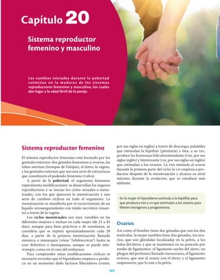 Los cambios iniciados durante la pubertad
culminan en la madurez de los sistemas
reproductores femenino y masculino, los cuales
dan lugar a la edad fértil de la pareja.
Capítulo
Sistema reproductor
femenino y masculino
161
20
Sistema reproductor femenino
El sistema reproductor femenino está formado por los
genitales internos: dos gónadas femeninas u ovarios, las
tubas uterinas (trompas de Falopio), el útero, la vagina,
y los genitales externos que son una serie de estructuras
que constituyen el pudendo femenino (vulva).
A partir de la pubertad, el organismo femenino
experimenta modiﬁcaciones: se desarrollan los órganos
reproductores y se inician los ciclos sexuales o mens-
truales, con los que aparecen la menstruación y una
serie de cambios cíclicos en todo el organismo. La
menstruación se maniﬁesta por el escurrimiento de un
líquido serosanguinolento con tejido necrótico (muer-
to) a través de la vagina.
Los ciclos menstruales son muy variables en las
diferentes mujeres e incluso en cada mujer (de 21 a 45
días), aunque para ﬁnes prácticos y de enseñanza, se
considera que se repiten aproximadamente cada 28
días, a partir de la primera menstruación llamada
menarca o menarquia (véase “Adolescencia”) hasta su
cese deﬁnitivo o menopausia, aunque se puede inte-
rrumpir, como en el caso del embarazo.
Para comprender estas modiﬁcaciones cíclicas es
necesario recordar que el hipotálamo empieza a produ-
cir en un momento dado factores liberadores (gnrh,
por sus siglas en inglés) a través de descargas pulsátiles
que estimulan la hipóﬁsis (pituitaria) y ésta, a su vez,
produce las hormonas foliculoestimulante (fsh, por sus
siglas inglés) y luteinizante (lh, por sus siglas en inglés)
que estimulan a los ovarios. La fsh estimula al ovario
durante la primera parte del ciclo; la lh empieza a pro-
ducirse después de la menstruación y alcanza su nivel
máximo durante la ovulación, que se estudiará más
adelante.
En la mujer el hipotálamo estimula a la hipófisis para
que produzca fsh y lh que estimulan a los ovarios para
liberen estrógenos y progesterona.
Ovarios
Así como el hombre tiene dos gónadas que son los dos
testículos, la mujer también tiene dos gónadas, los ova-
rios, que son glándulas localizadas en la pelvis, a los
lados del útero, y que se mantienen en su posición por
medio de ligamentos: el ligamento ancho del útero, un
pliegue del peritoneo llamado mesoovario, el ligamento
ovárico, que une al ovario con el útero, y el ligamento
suspensorio, que lo une a la pelvis.
 
