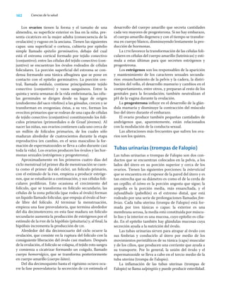 162 Ciencias de la salud
Los ovarios tienen la forma y el tamaño de una
almendra, su superﬁcie exterior es lisa en la niña, pre-
senta cicatrices en la mujer adulta (consecuencia de la
ovulación) y rugoso en la anciana. Tienen las siguientes
capas: una superﬁcial o corteza, cubierta por epitelio
simple llamado epitelio germinativo, debajo del cual
está el estroma cortical formado por tejido conectivo
(conjuntivo); entre las células del tejido conectivo (con-
juntivo) se encuentran los óvulos rodeados de células
foliculares. La porción superﬁcial del estroma se con-
densa formando una túnica albugínea que se pone en
contacto con el epitelio germinativo. La porción cen-
tral, llamada médula, contiene principalmente tejido
conectivo (conjuntivo) y vasos sanguíneos. Entre la
quinta y sexta semanas de la vida embrionaria, las célu-
las germinales se dirigen desde su lugar de origen
(endodermo del saco vitelino) a las gónadas, crecen y se
transforman en ovogonias; éstas, a su vez, forman los
ovocitos primarios que se rodean de una capa de células
de tejido conectivo (conjuntivo) constituyendo los folí-
culos primarios (primordiales o de Graaf jóvenes). Al
nacer las niñas, sus ovarios contienen cada uno cerca de
un millón de folículos primarios, de los cuales sólo
maduran alrededor de cuatrocientos durante la etapa
reproductiva (en cambio, en el sexo masculino la for-
mación de espermatozoides se lleva a cabo durante casi
toda la vida). Los ovarios producen los óvulos y las hor-
monas sexuales (estrógenos y progesterona).
Aproximadamente en los primeros cuatro días del
ciclo menstrual (el primer día de menstruación se cuen-
ta como el primer día del ciclo), un folículo primario,
con el estímulo de la fsh, empieza a producir estróge-
nos, que se estudiarán a continuación, y sus células foli-
culares proliferan. Esto ocasiona el crecimiento del
folículo, que se transforma en folículo secundario, las
células de la zona pelúcida (que rodea al óvulo) forman
un líquido llamado folicular, que empuja al óvulo al bor-
de libre del folículo. Al terminar la menstruación,
empieza una fase preovulatoria, que termina alrededor
del día decimotercero; en esta fase madura un folículo
secundario aumenta la producción de estrógenos por el
estímulo de la fsh de la hipóﬁsis (pituitaria) y, al ﬁnal, la
hipóﬁsis incrementa la producción de lh.
Alrededor del día decimocuarto del ciclo ocurre la
ovulación, que consiste en la ruptura del folículo con la
consiguiente liberación del óvulo casi maduro. Después
de la ovulación, el folículo se colapsa, el tejido roto sangra
y comienza a cicatrizar formando un coágulo, llamado
cuerpo hemorrágico, que se transforma posteriormente
en cuerpo amarillo (cuerpo lúteo).
Del día decimoquinto hasta el vigésimo octavo ocu-
rre la fase posovulatoria: la secreción de lh estimula el
desarrollo del cuerpo amarillo que secreta cantidades
cada vez mayores de progesterona. Si no hay embarazo,
el cuerpo amarillo degenera y con el tiempo se transfor-
ma en cuerpo blanco, disminuyendo lentamente la pro-
ducción de hormonas.
La lth favorece la transformación de las células foli-
culares en células del cuerpo amarillo (luteínicas) y esti-
mula a estas últimas para que secreten estrógenos y
progesterona.
Los estrógenos son los responsables de la aparición
y mantenimiento de los caracteres sexuales secunda-
rios: ensanchamiento de la pelvis y la cadera, la distri-
bución del vello, el desarrollo mamario y cambios en el
comportamiento, entre otros, y preparan al resto de los
genitales para la fecundación; también neutralizan el
pH de la vagina durante la ovulación.
La progesterona inﬂuye en el desarrollo de la glán-
dula mamaria y disminuye la contracción del músculo
liso del útero durante el embarazo.
El ovario produce también pequeñas cantidades de
andrógenos que, aparentemente, están relacionados
con la modulación de la conducta sexual.
Las alteraciones más frecuentes que sufren los ova-
rios son los quistes.
Tubas urinarias (trompas de Falopio)
Las tubas urinarias o trompas de Falopio son dos con-
ductos que se encuentran colocados en la pelvis, a los
lados del útero en su porción superior y cerca de los
ovarios. Tienen las siguientes porciones: la intersticial
que se encuentra en el espesor de la pared del útero y es
tan estrecha que su diámetro es como el de la cerda de
un cepillo; el istmo es la porción angosta que sigue; la
ampolla es la porción media, más ensanchada, y el
infundíbulo (pabellón) es el extremo distal, que está
rodeado por una serie de prolongaciones llamadas ﬁm-
brias. Cada tuba uterina (trompa de Falopio) está for-
mada por tres túnicas o capas: la exterior es una
membrana serosa, la media está constituida por múscu-
lo liso y la interior es una mucosa, cuyo epitelio es cilia-
do. En el epitelio también hay glándulas mucosas cuya
secreción ayuda a la nutrición del óvulo.
Las tubas urinarias sirven para atrapar al óvulo con
sus ﬁmbrias y conducirlo al útero por medio de los
movimientos peristálticos de su túnica (capa) muscular
y de los cilios, que producen una corriente que ayuda a
su transporte. Por lo general, la unión del óvulo y el
espermatozoide se lleva a cabo en el tercio medio de la
tuba uterina (trompa de Falopio).
La inﬂamación de las tubas uterinas (trompas de
Falopio) se llama salpingitis y puede producir esterilidad.
 